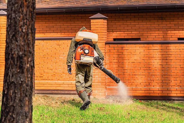 Bed Bug Clearance Verification and Documentation in San Leon